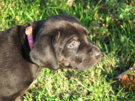 Hope Profile