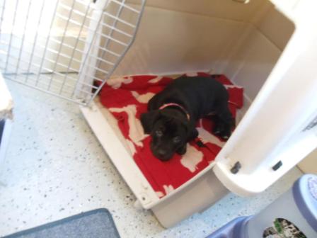 Hope Crate
