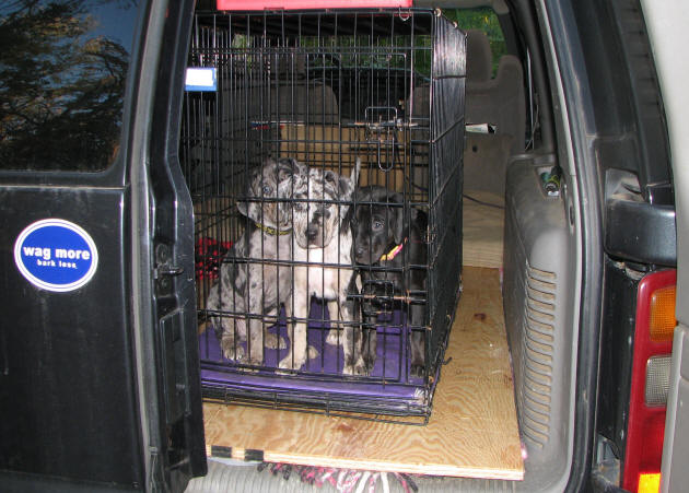 Car ride