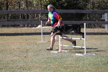 Chase, agility