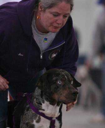 Chase, flyball