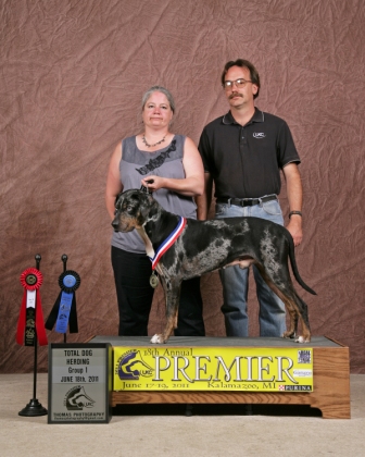 Chase, Group 1 2011 Total Dog BIS