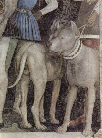 mantegna mastiff